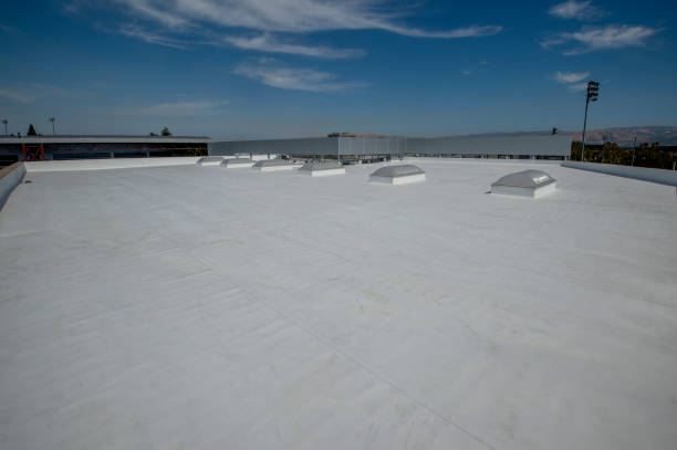 Best Roof Moss and Algae Removal  in Valley Cottage, NY